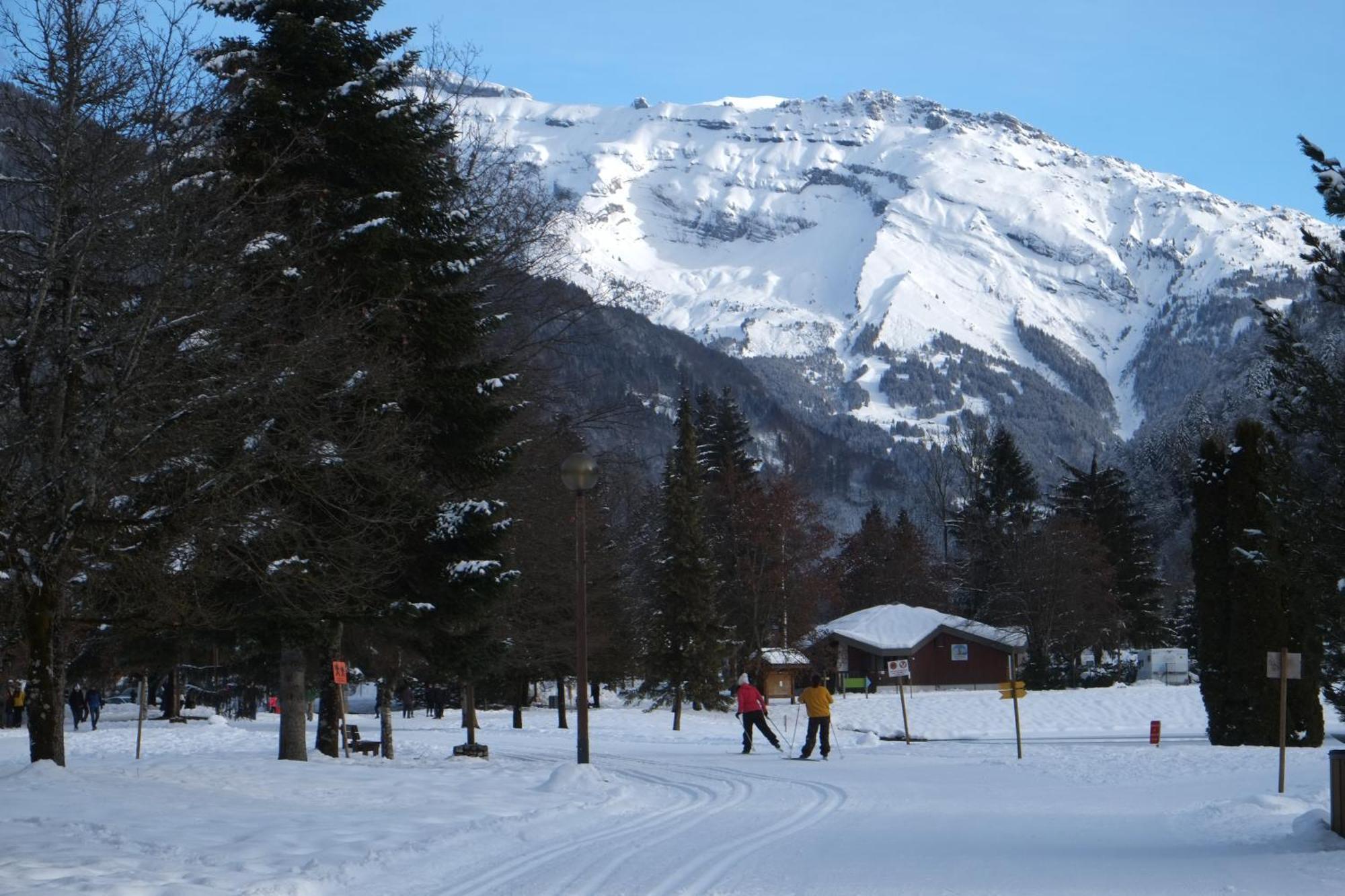 Particulier Loue 2 Appartements Communicants Dans Chalet A Samoens Jusqu A 16 Couchages Exteriör bild