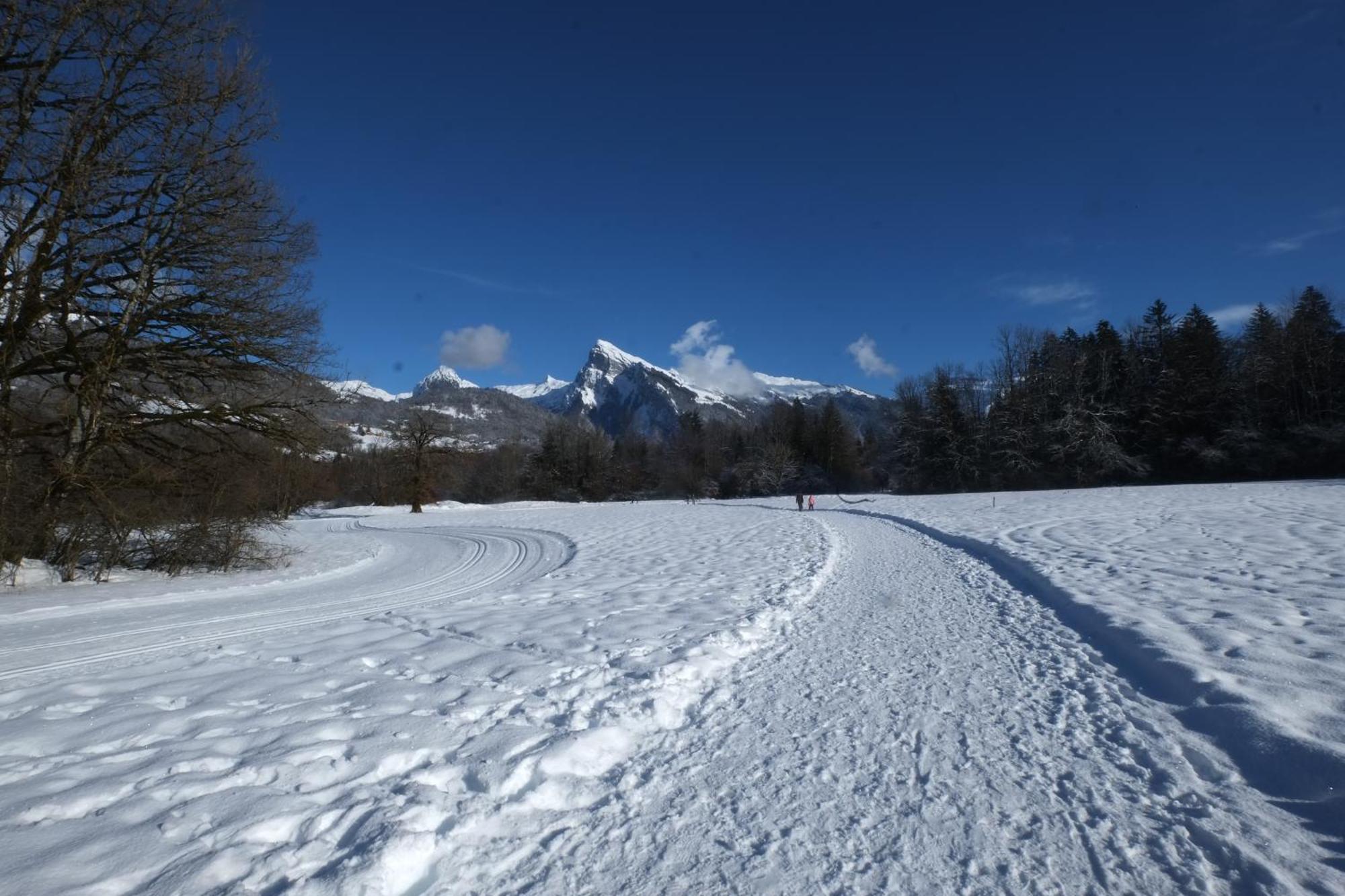 Particulier Loue 2 Appartements Communicants Dans Chalet A Samoens Jusqu A 16 Couchages Exteriör bild
